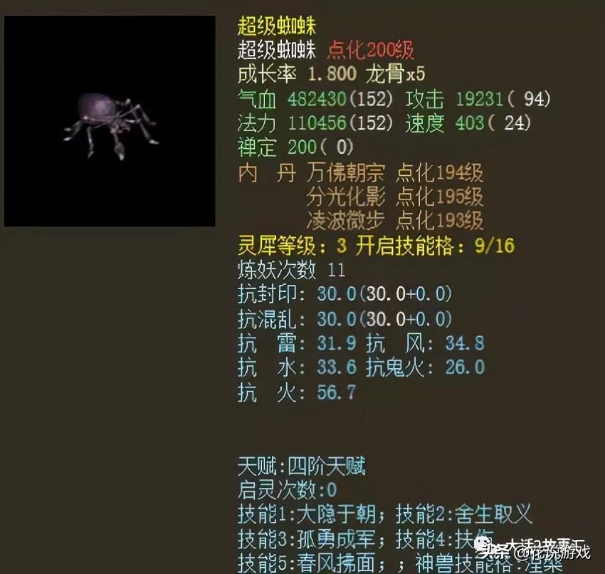 大话西游2平民血宠排行（大话西游2什么血宠最好）_1