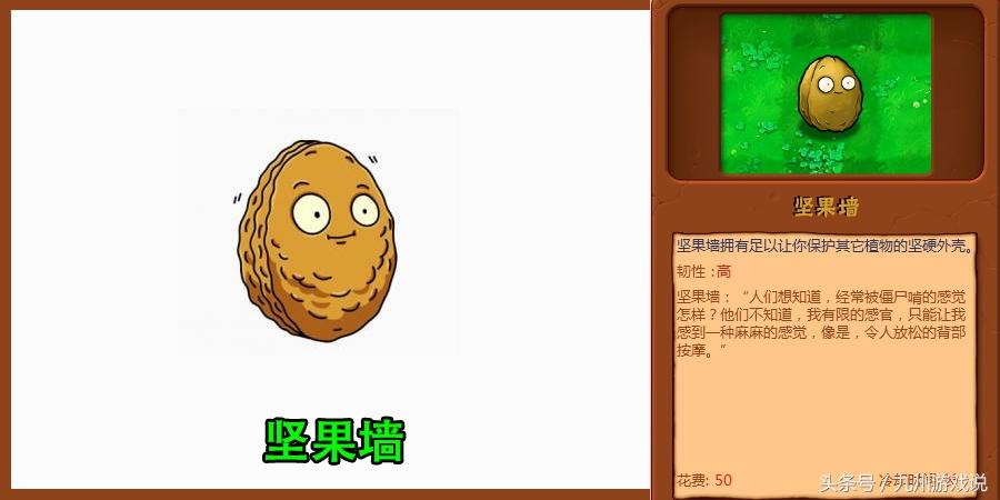 植物大战僵尸超强植物推荐（让僵尸无奈的植物介绍）--第2张