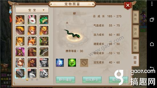 问道宠物幻化怎么弄（问道手游幻化法攻用什么宠物）--第1张
