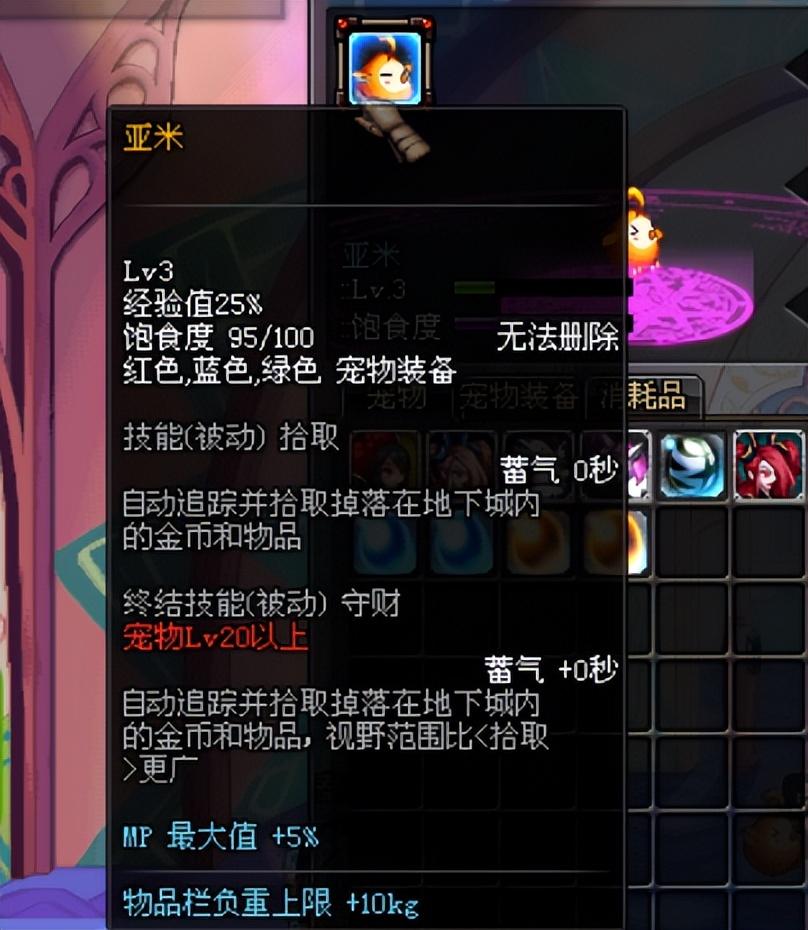 dnf亚米宠物怎么获得（dnf宠物亚米好不好用）--第1张