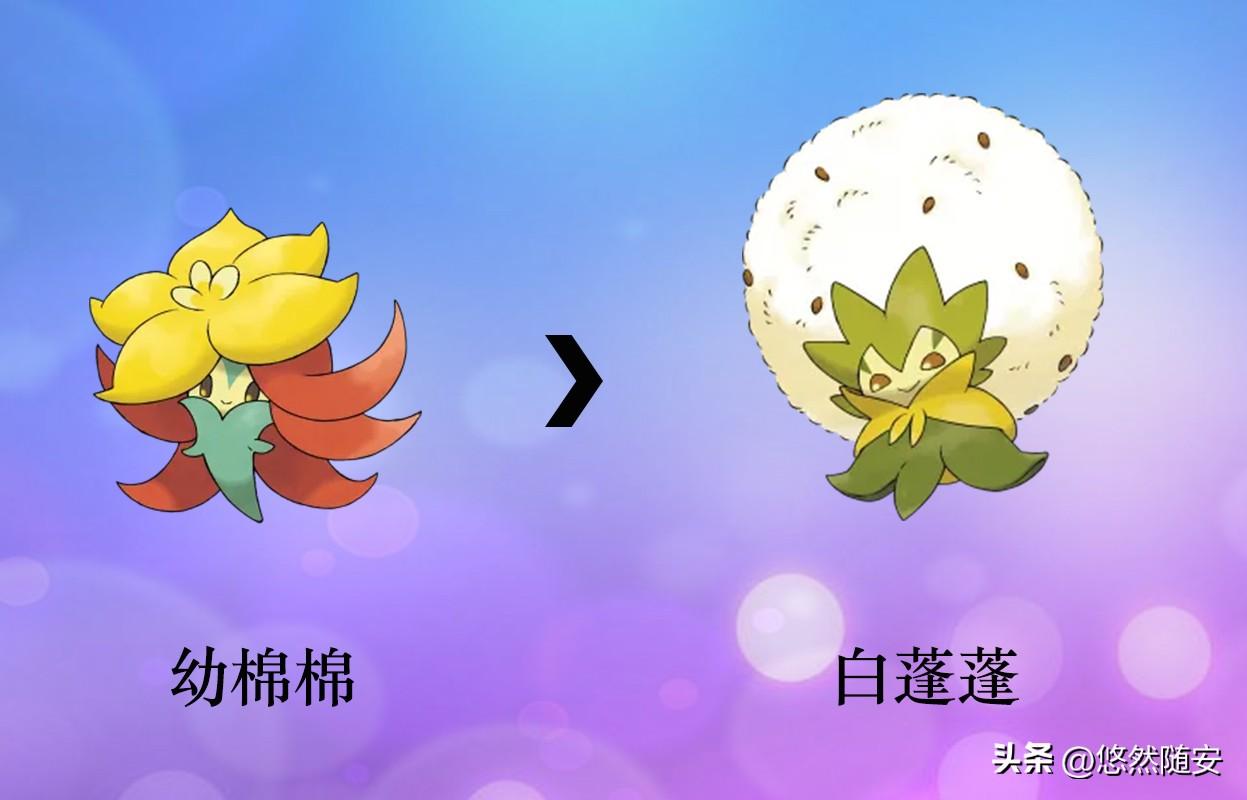 switch宝可梦剑盾进化表（宝可梦剑盾进化大全）