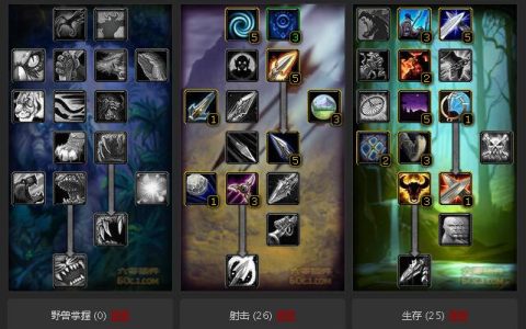 怀旧服猎人60级天赋怎么点（怀旧服猎人60级混迹战场天赋选择）