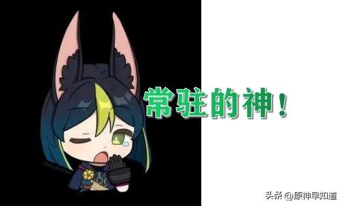 原神抽须弥角色应该抽哪个（须弥原神最建议抽的五星角色）