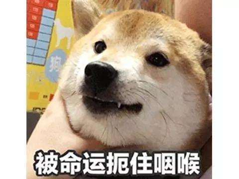 王者荣耀上限高的法师（王者荣耀法师强度top榜）