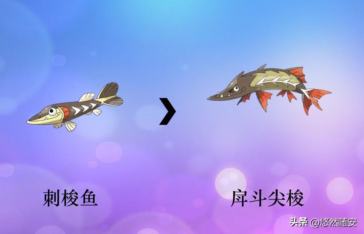 switch宝可梦剑盾进化表（宝可梦剑盾进化大全）
