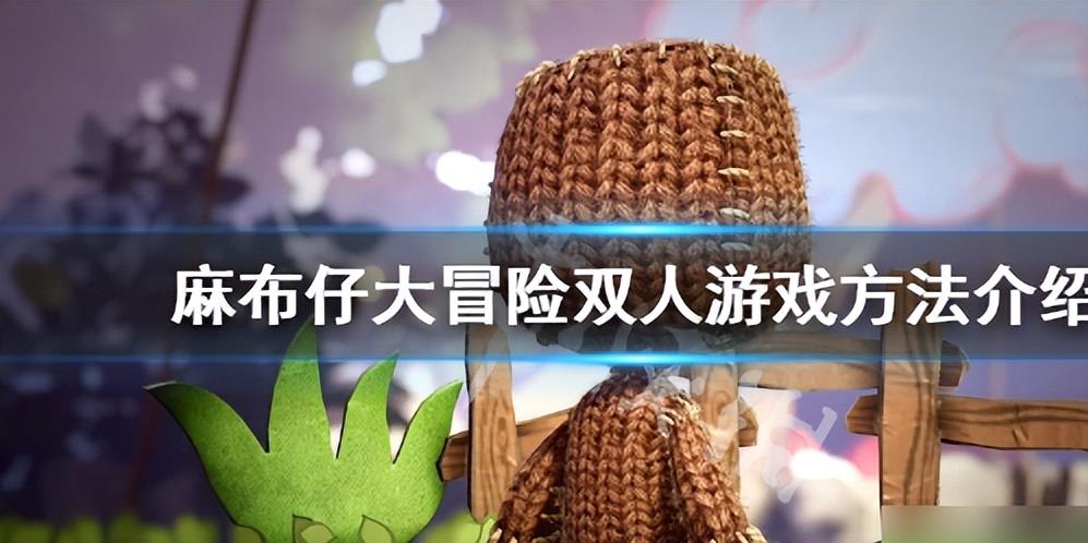 麻布仔大冒险怎么双人一起玩（麻布仔大冒险双人游戏方法介绍）