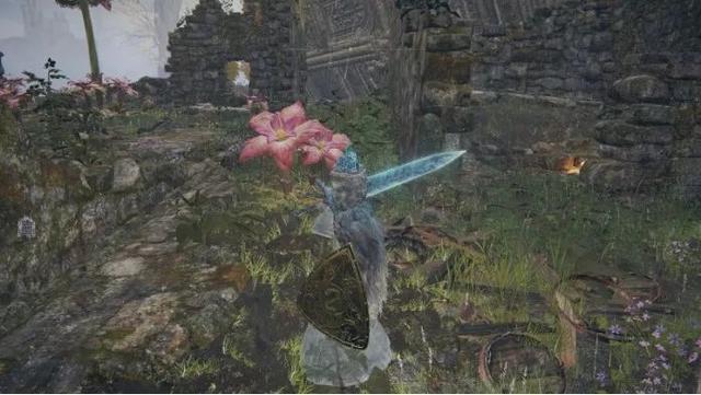 艾尔登法环雪魔女菈妮支线全流程（艾尔登法环详细的白金成就攻略）