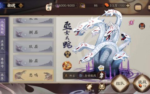 阴阳师魂土阵容2022（阴阳师魂十一副本打法攻略）