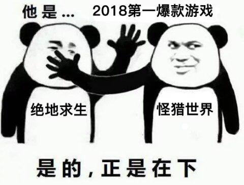 怪物猎人世界珠子怎么刷起来快（怪物猎人世界中期怎么刷珠子）