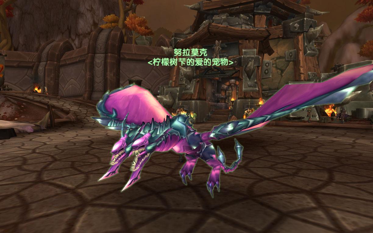 魔兽世界生存猎人带什么宝宝（魔兽世界猎人宠物挑选指南）