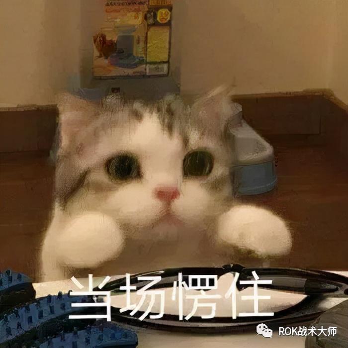 万国觉醒k3阶段玩法介绍（万国觉醒K3温泉战搭配及打法）