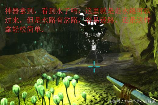 方舟生存进化手游矿洞位置（方舟生存进化沼泽矿洞位置及通关攻略）