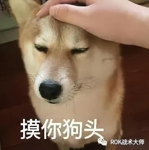 万国觉醒月卡党怎么玩（万国觉醒月卡党步兵玩家及后续转换发展的思路）