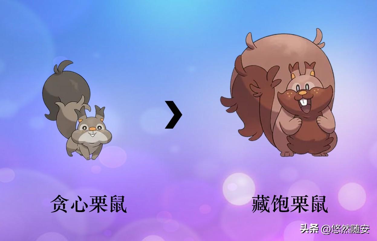 switch宝可梦剑盾进化表（宝可梦剑盾进化大全）