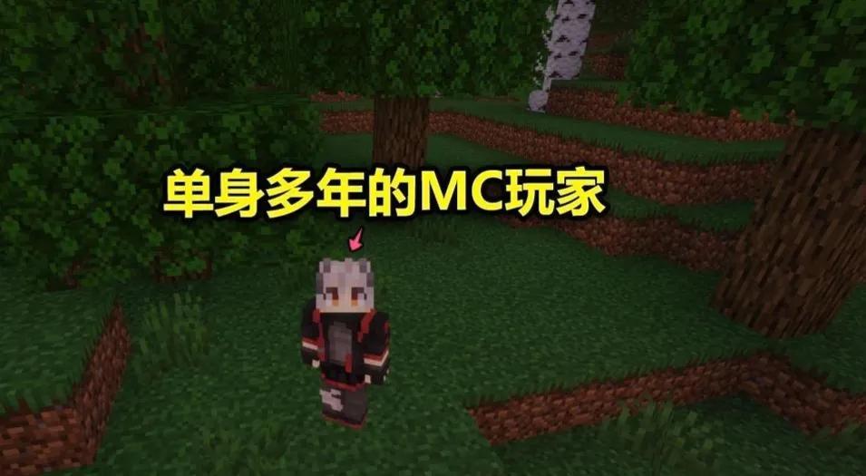 我的世界怪物女性化（我的世界怪物女性化模组）