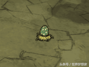饥荒联机版蜜蜂怎么抓（饥荒联机进阶必备生存指南）