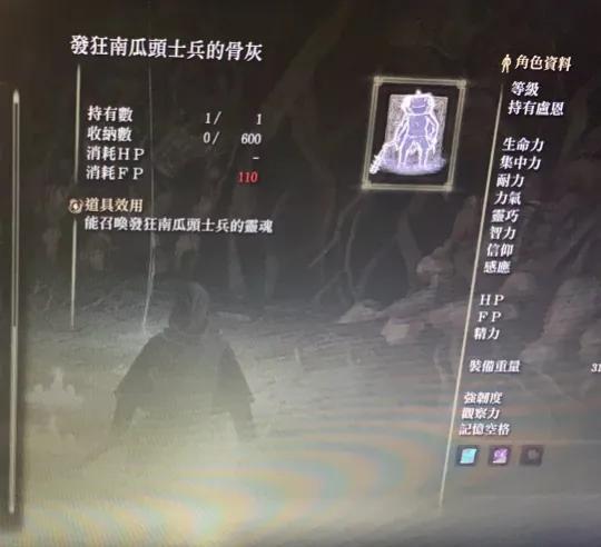 艾尔登法环法师200级加点（艾尔登法师开荒攻略）