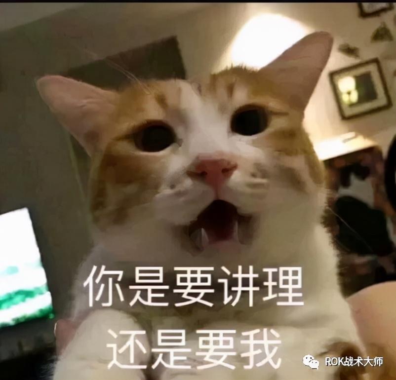 万国觉醒k3阶段玩法介绍（万国觉醒K3温泉战搭配及打法）