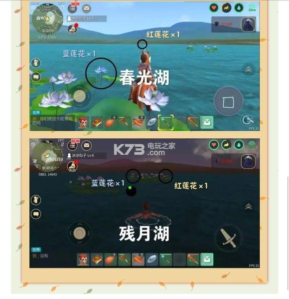 创造与魔法蓝莲位置图（创造与魔法红蓝莲花刷新时间及地点）