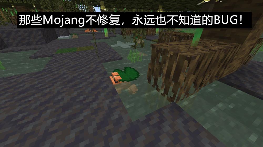 我的世界网易版定位指令大全（我的世界网易版的全部指令）