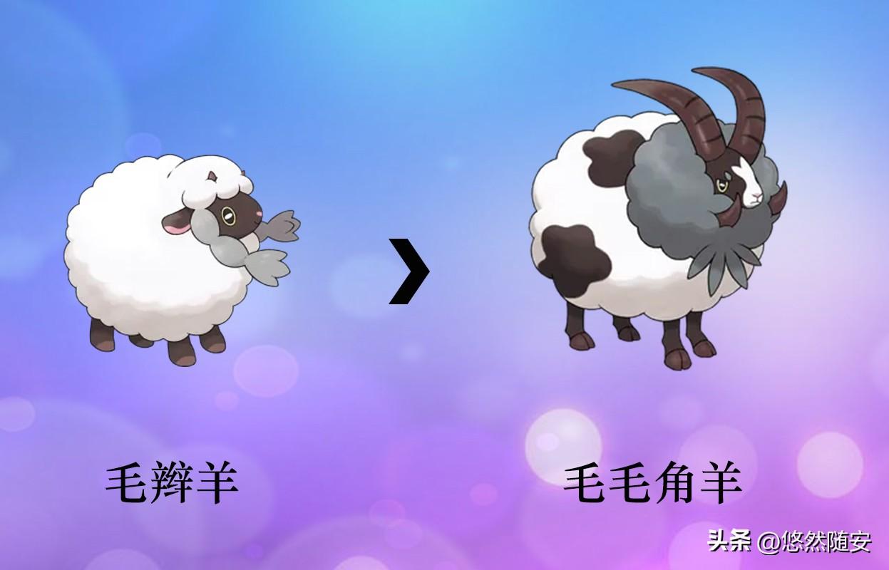 switch宝可梦剑盾进化表（宝可梦剑盾进化大全）