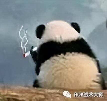 万国觉醒月卡党怎么玩（万国觉醒月卡党步兵玩家及后续转换发展的思路）