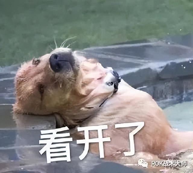 万国觉醒月卡党怎么玩（万国觉醒月卡党步兵玩家及后续转换发展的思路）