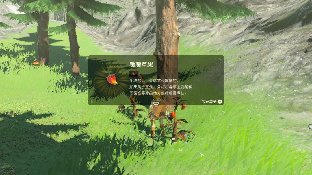 塞尔达初始台地地图（塞尔达初始之地隐藏要素）