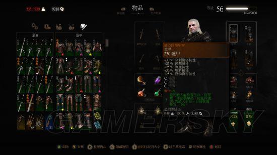 巫师三各个流派的套装外观（巫师3所有学派师匠级套装外观图及特殊效果一览）