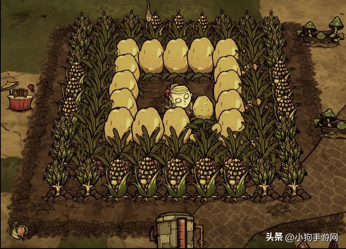 饥荒手游新手开局攻略（饥荒联机版本中新手入门攻略教程）