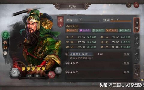 三国志战略版最强阵容（三国志战略版配将大全）