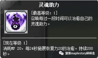 冒险岛黑骑士用什么装备（冒险岛黑骑士升级技能选择及加点攻略）