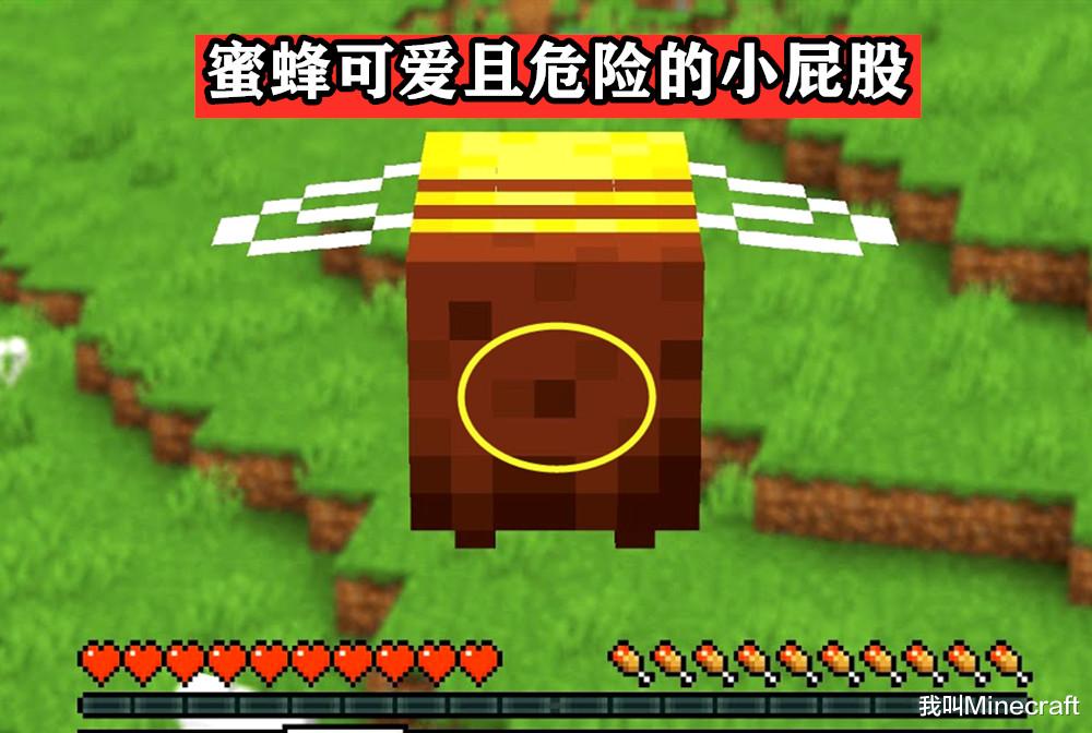 我的世界蜜蜂怎么养（我的世界养殖蜜蜂教程）