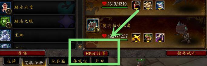 魔兽世界宠物对战宠物推荐（wow宠物对战什么最强及玩法小攻略）