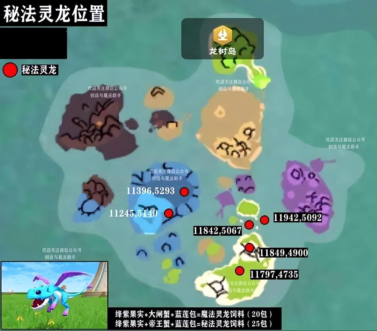 创造与魔法秘法灵龙值得培养吗（创造与魔法秘法灵龙资质介绍）