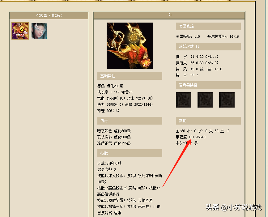 大话西游2大话币携带上限（大话西游2人物携带多少金钱受到限制）
