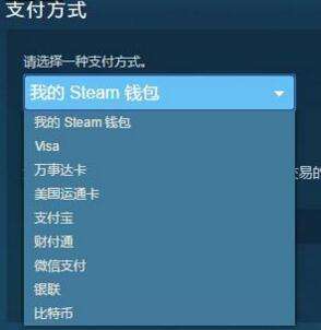 怎么在steam上买游戏（steam买游戏怎么付款）