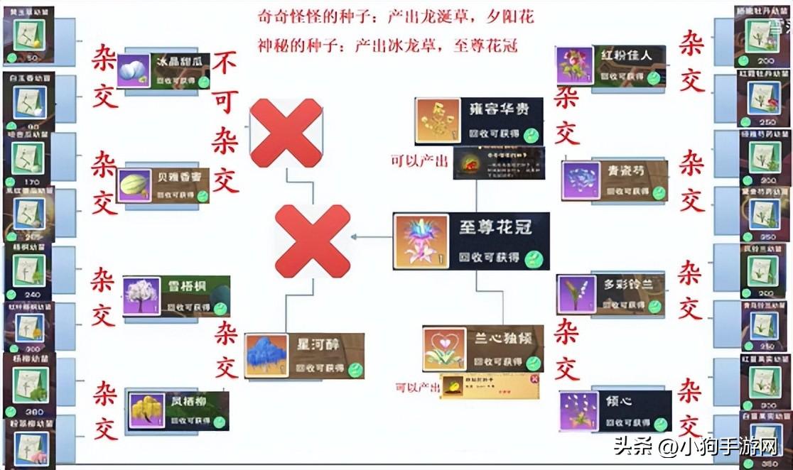 创造与魔法种田玩法详解（创造与魔法手游中新农耕系统详细攻略）