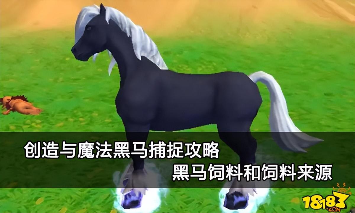 创造与魔法黑马捕捉攻略（创造与魔法黑马饲料和饲料来源）