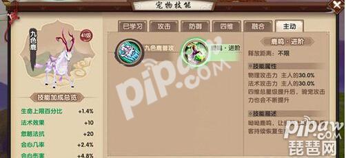 寻仙手游宠物捕捉地点大全（寻仙手游野外抓宠物坐标）