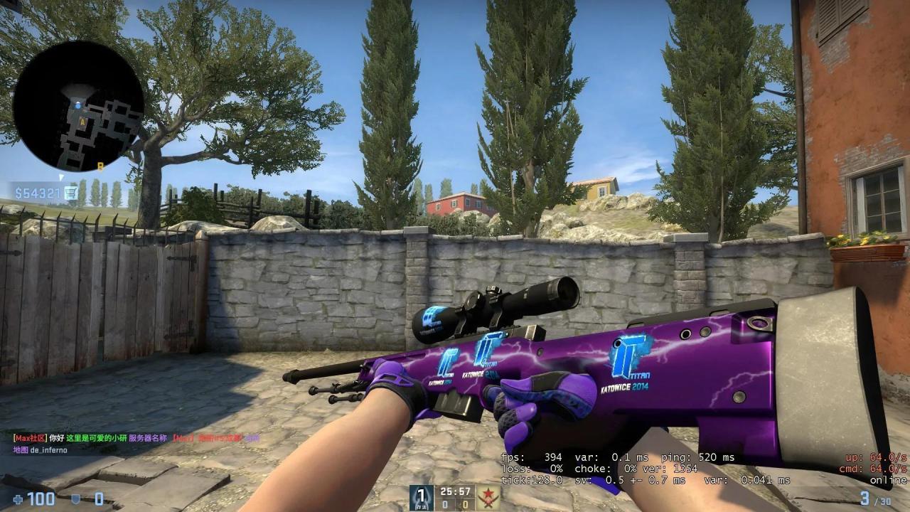 csgo大狙皮肤一览（csgo大狙切刀最舒服排行榜）