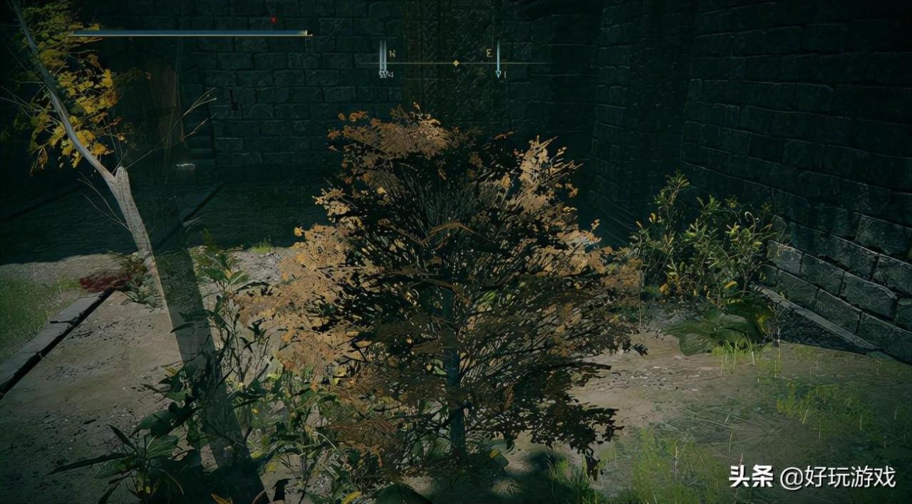艾尔登法环和黑魂3难度（艾尔登法环与魂系列难度对比）