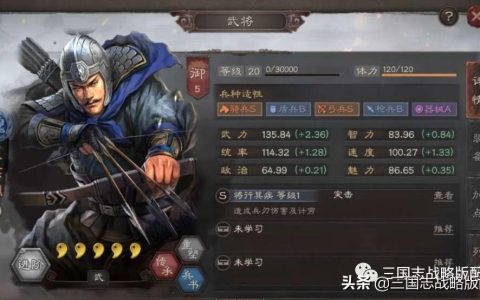 三国志战略版太史慈平民搭配（三国志战略版夏侯太史慈新阵容）
