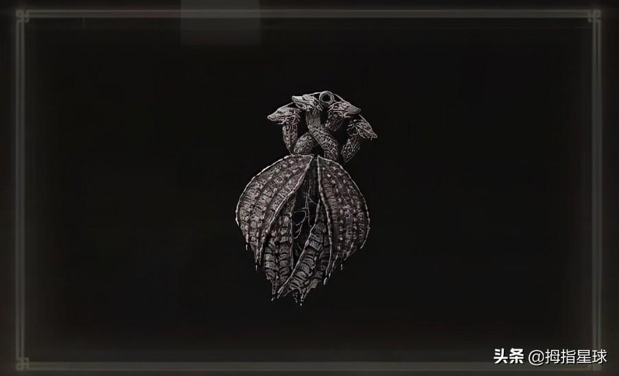 艾尔登法环传说护符收集（艾尔登法环传说中的护符有哪些）