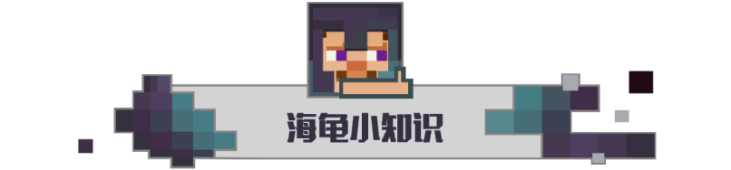 我的世界海龟壳怎么搞（网易版我的世界怎么获得海龟壳）