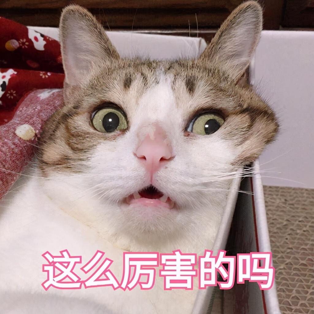 怪物猎人炼金术阳炎怎么解锁（怪物猎人进阶攻略）