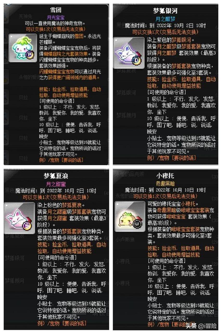 冒险岛宠物如何选择（冒险岛宠物资料详解及选择指南）
