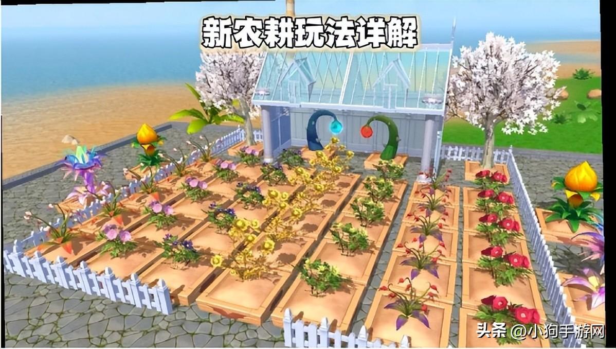 创造与魔法种田玩法详解（创造与魔法手游中新农耕系统详细攻略）