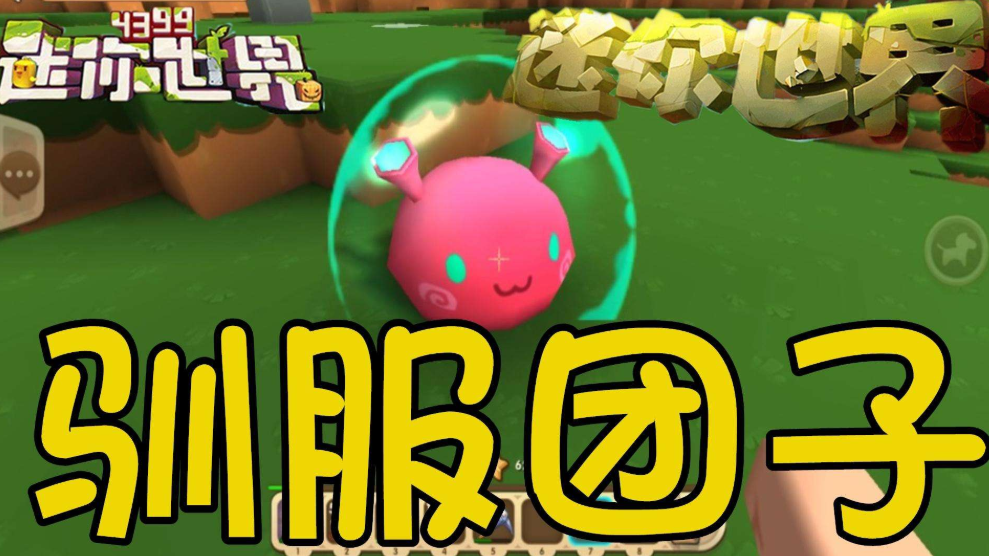 迷你世界的团子怎么驯服（迷你世界如何快速驯服团子教学）