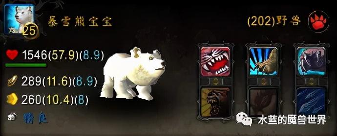 魔兽世界宠物大全（魔兽稀有宠物大全带图）